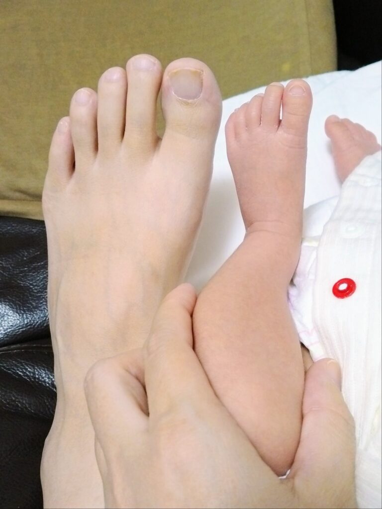 大人と赤ちゃんの足の比較